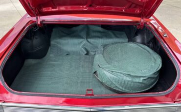 Pontiac-Le-Mans-1965-Wagon-7