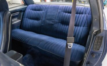 Pontiac-Le-Mans-1980-Coupe-13