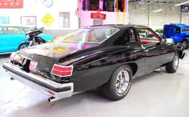 Pontiac-LeMans-1976-Coupe-10