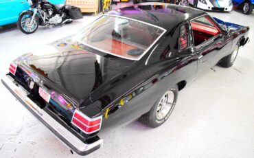 Pontiac-LeMans-1976-Coupe-11