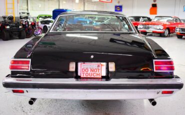 Pontiac-LeMans-1976-Coupe-13