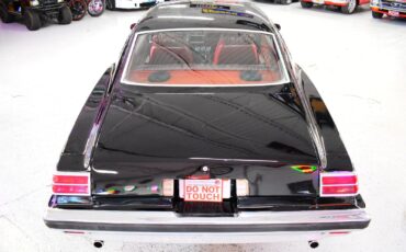 Pontiac-LeMans-1976-Coupe-14