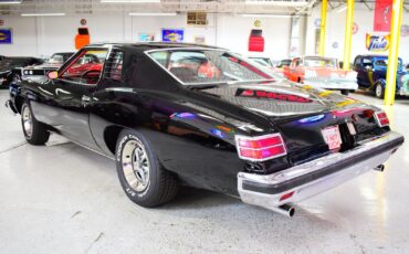 Pontiac-LeMans-1976-Coupe-16