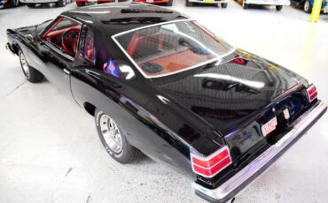 Pontiac-LeMans-1976-Coupe-17