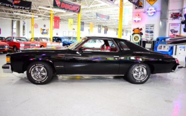 Pontiac-LeMans-1976-Coupe-19