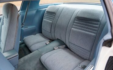 Pontiac-Macho-Trans-Am-1978-Coupe-11