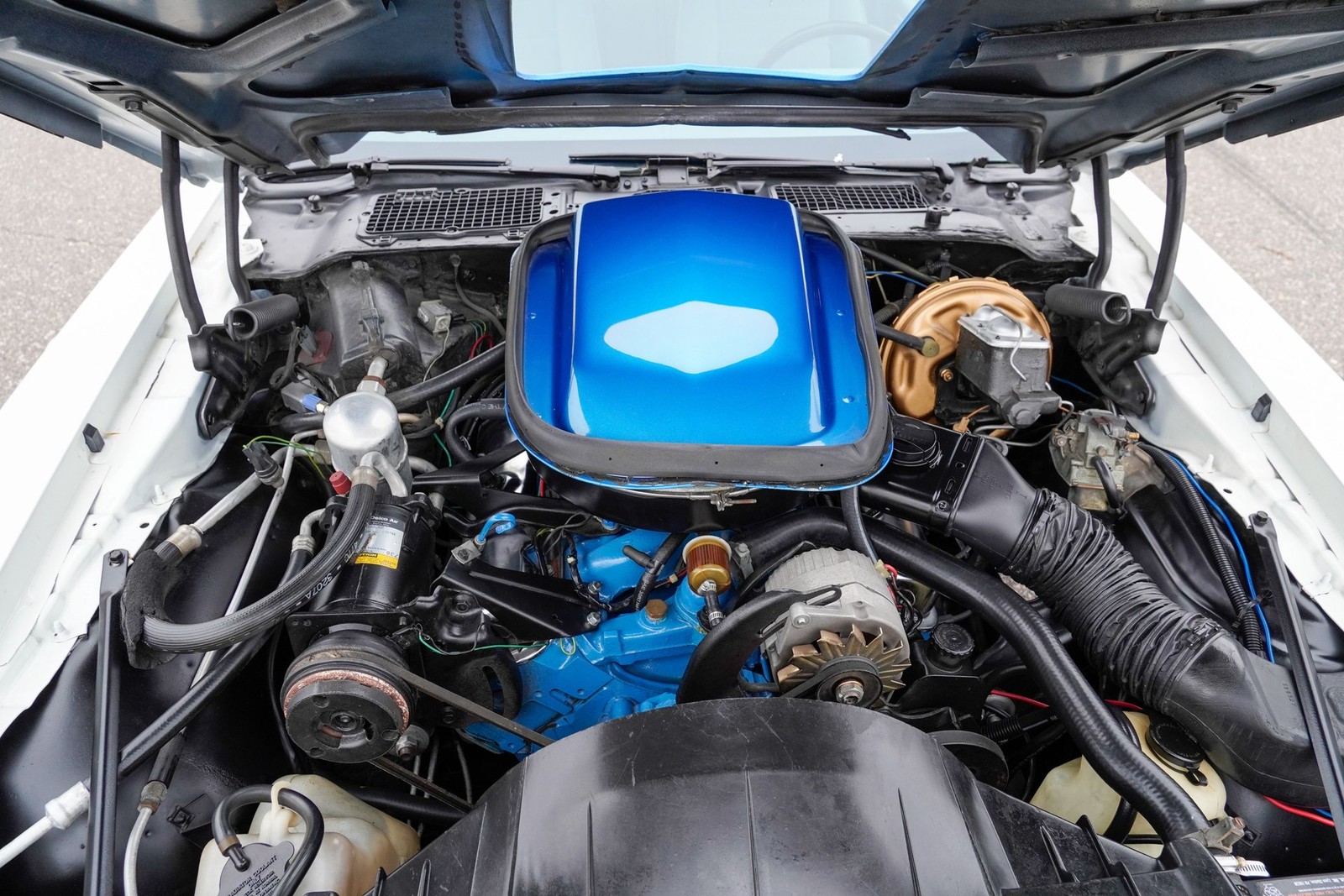 Pontiac-Macho-Trans-Am-1978-Coupe-13