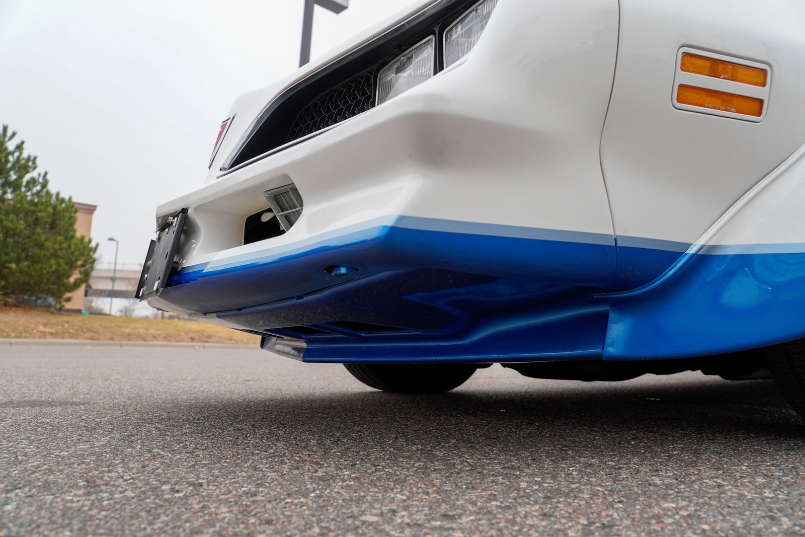 Pontiac-Macho-Trans-Am-1978-Coupe-15