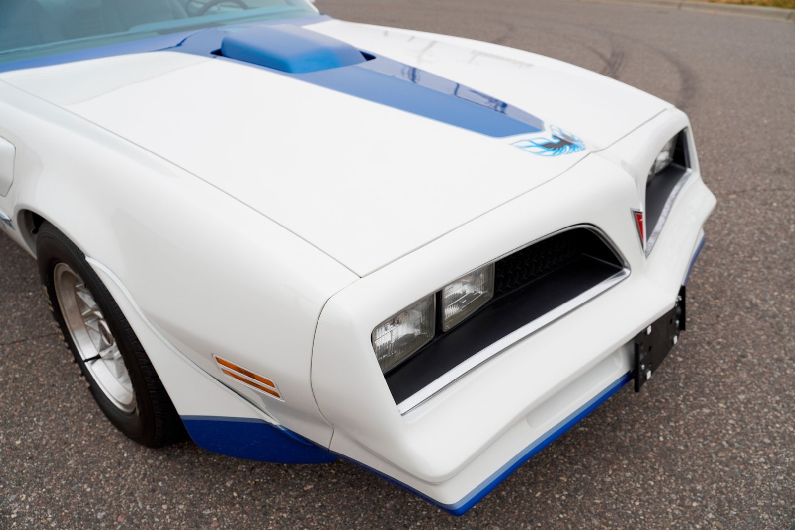 Pontiac-Macho-Trans-Am-1978-Coupe-22