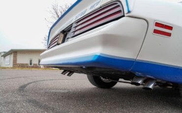 Pontiac-Macho-Trans-Am-1978-Coupe-23