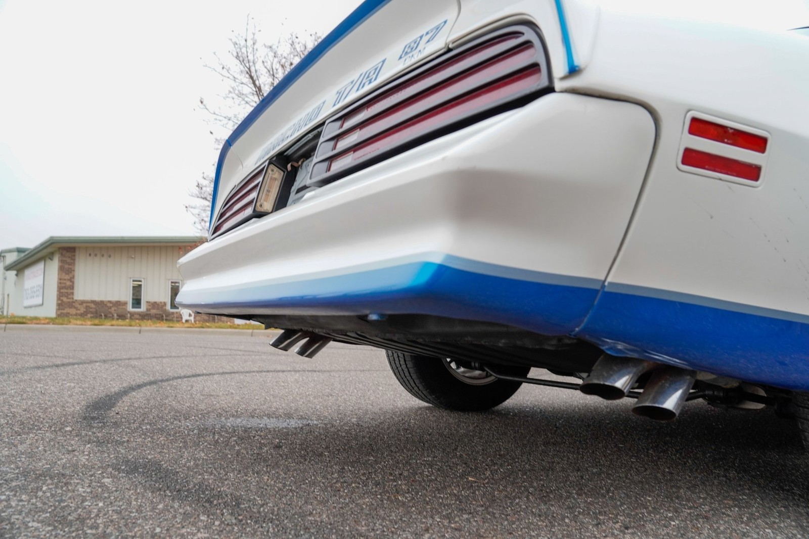 Pontiac-Macho-Trans-Am-1978-Coupe-23