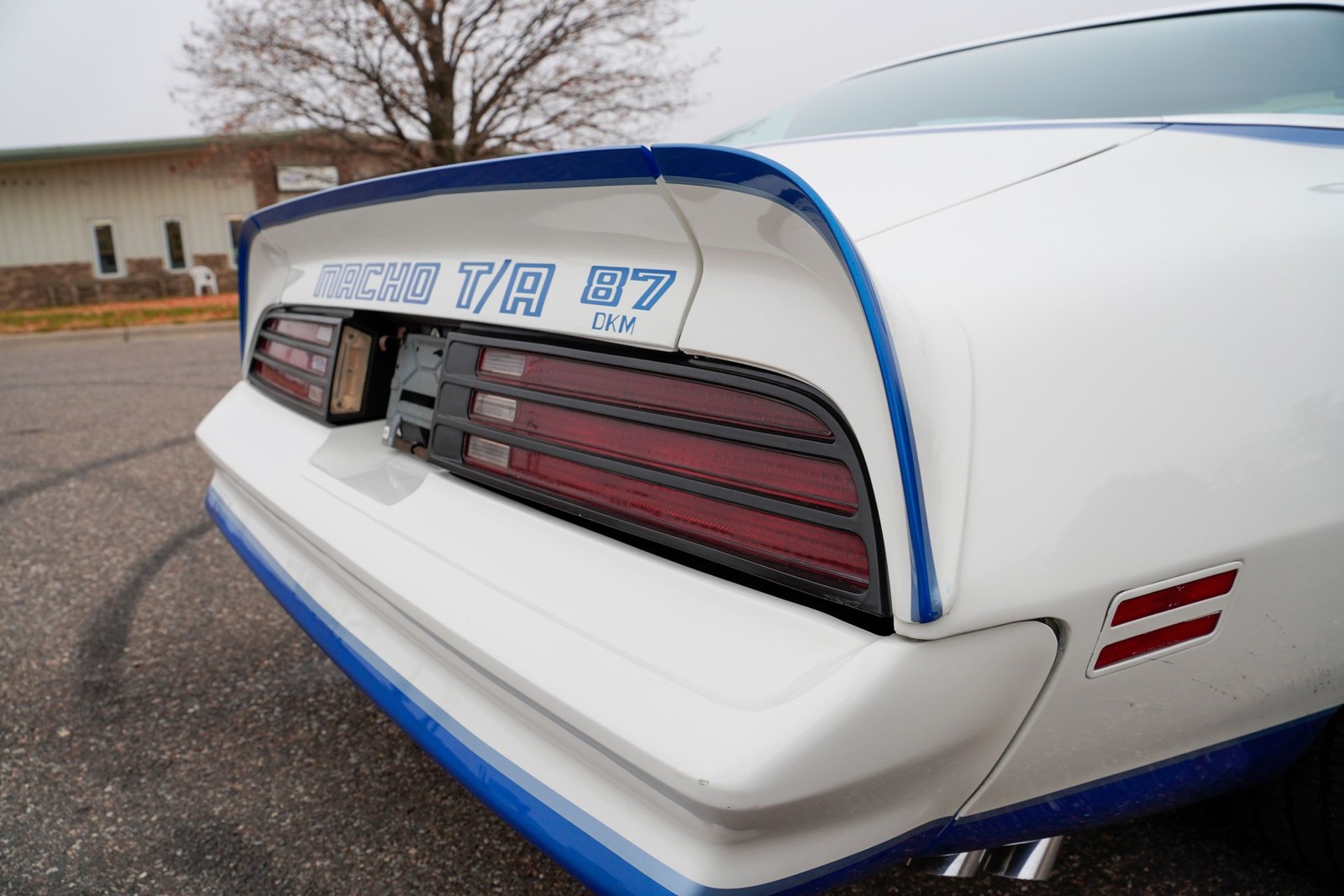 Pontiac-Macho-Trans-Am-1978-Coupe-24