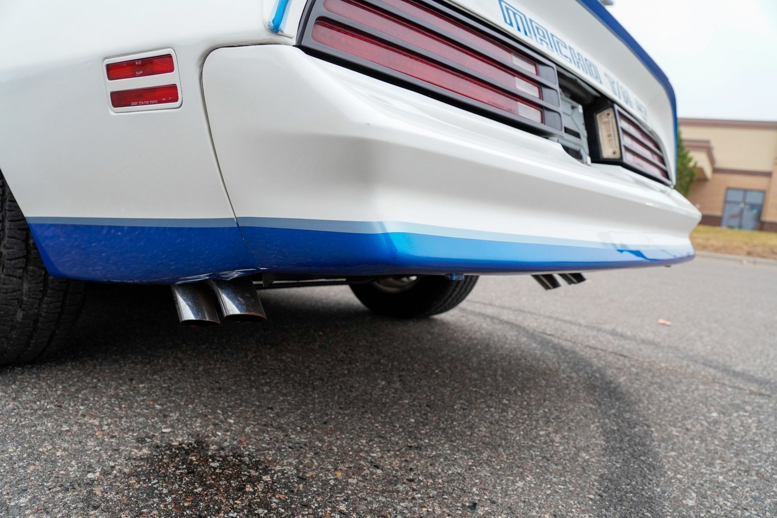 Pontiac-Macho-Trans-Am-1978-Coupe-26