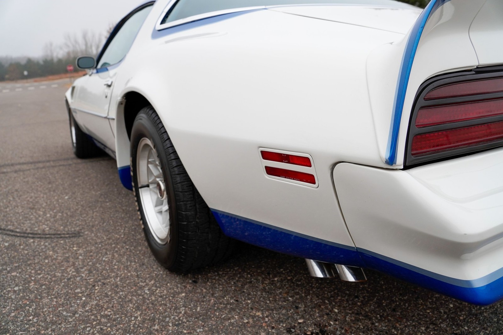 Pontiac-Macho-Trans-Am-1978-Coupe-28