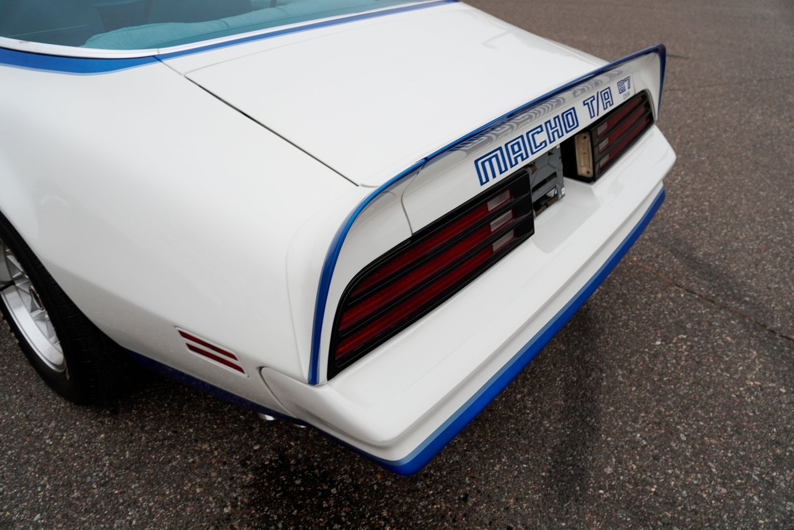 Pontiac-Macho-Trans-Am-1978-Coupe-29