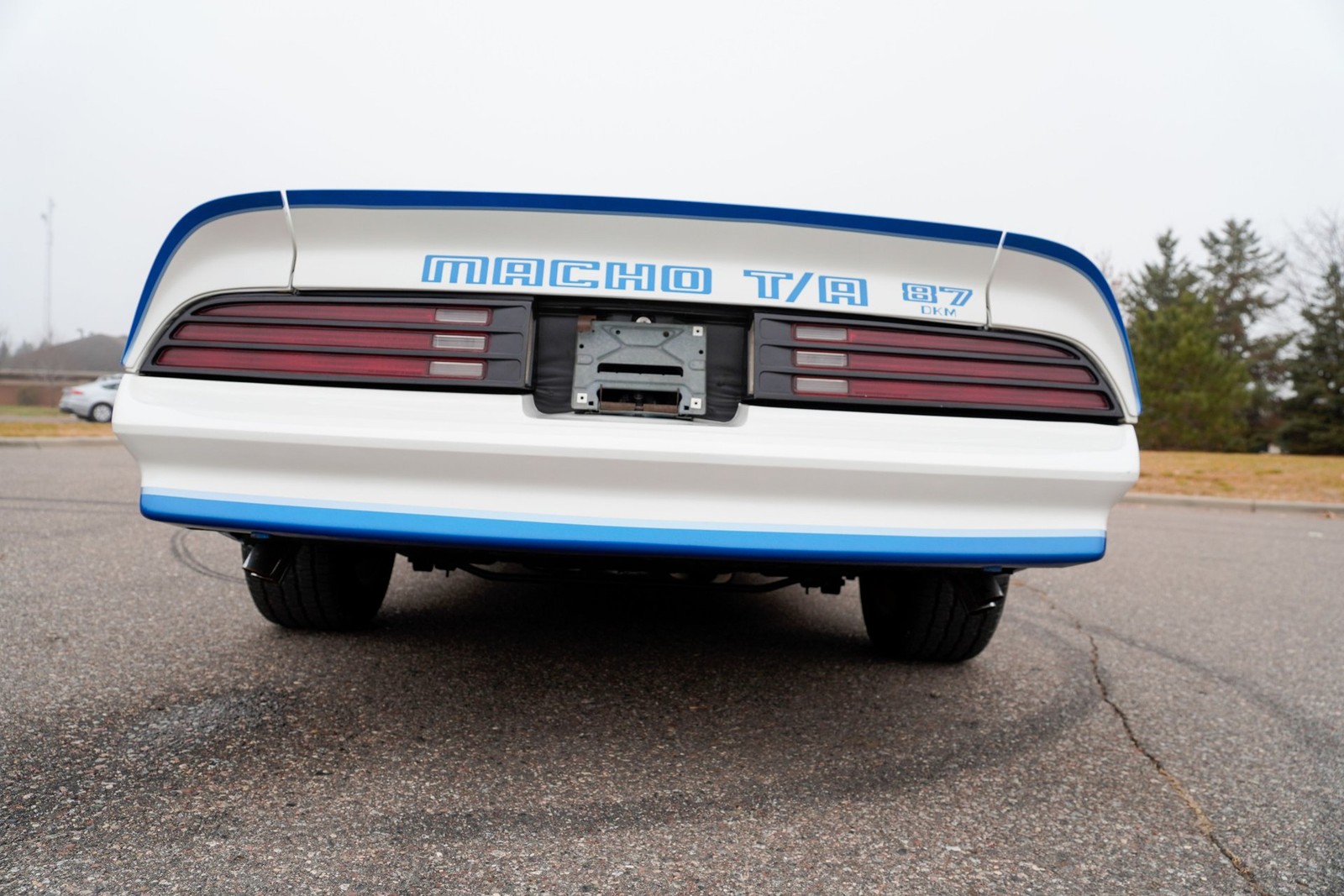 Pontiac-Macho-Trans-Am-1978-Coupe-30