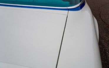 Pontiac-Macho-Trans-Am-1978-Coupe-34