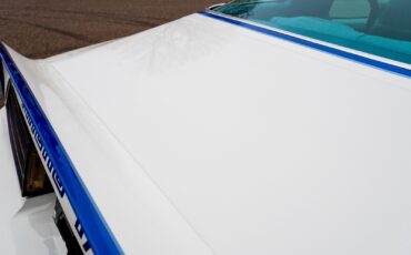 Pontiac-Macho-Trans-Am-1978-Coupe-35