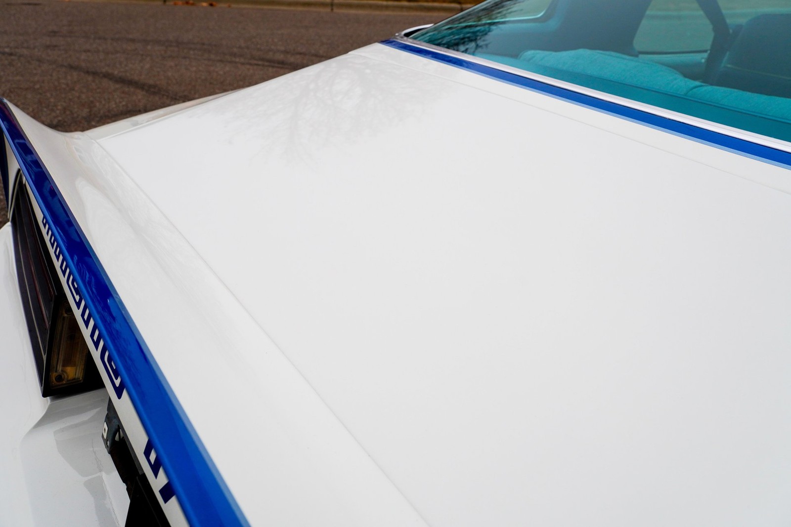 Pontiac-Macho-Trans-Am-1978-Coupe-35