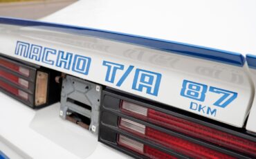 Pontiac-Macho-Trans-Am-1978-Coupe-36