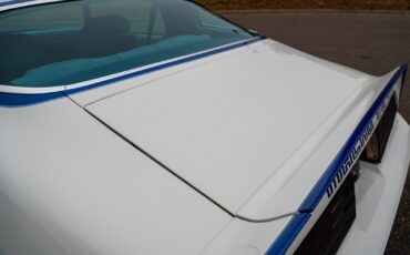 Pontiac-Macho-Trans-Am-1978-Coupe-37