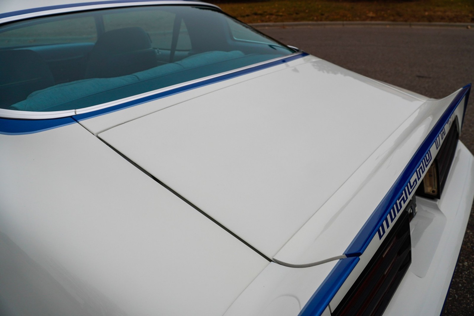 Pontiac-Macho-Trans-Am-1978-Coupe-37