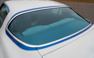 Pontiac-Macho-Trans-Am-1978-Coupe-39