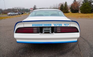 Pontiac-Macho-Trans-Am-1978-Coupe-4