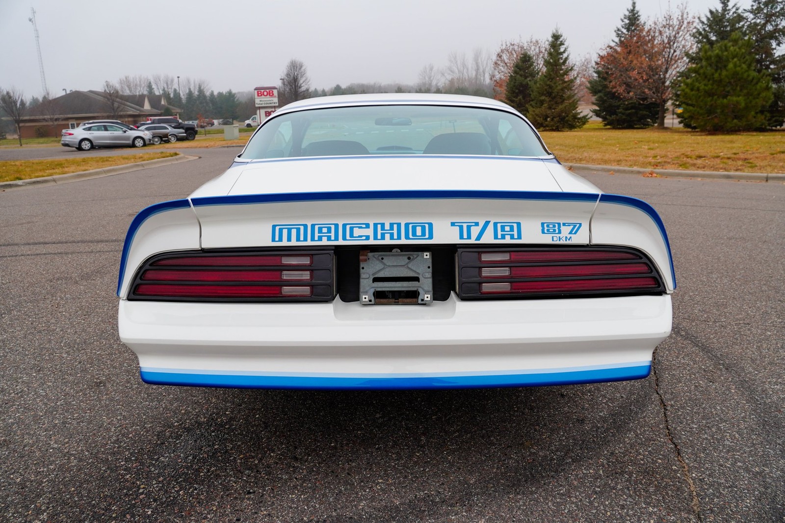 Pontiac-Macho-Trans-Am-1978-Coupe-4