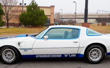 Pontiac-Macho-Trans-Am-1978-Coupe-6