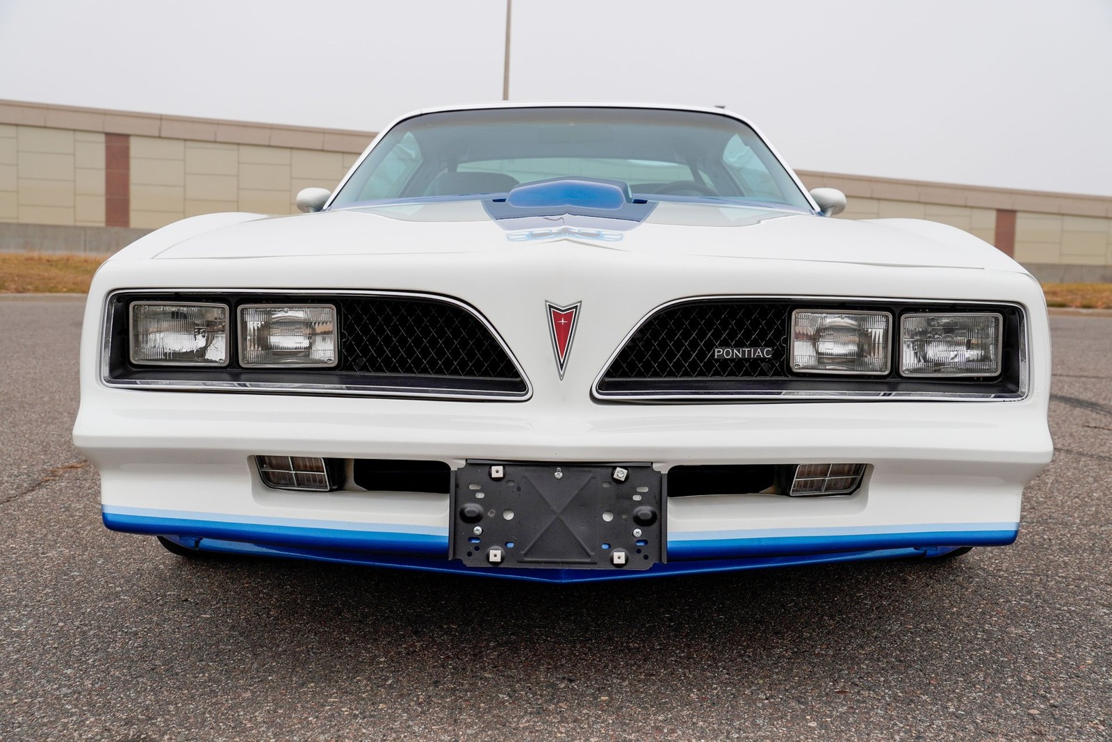 Pontiac-Macho-Trans-Am-1978-Coupe-8