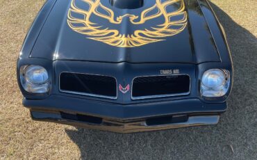 Pontiac-Trans-Am-1976-1