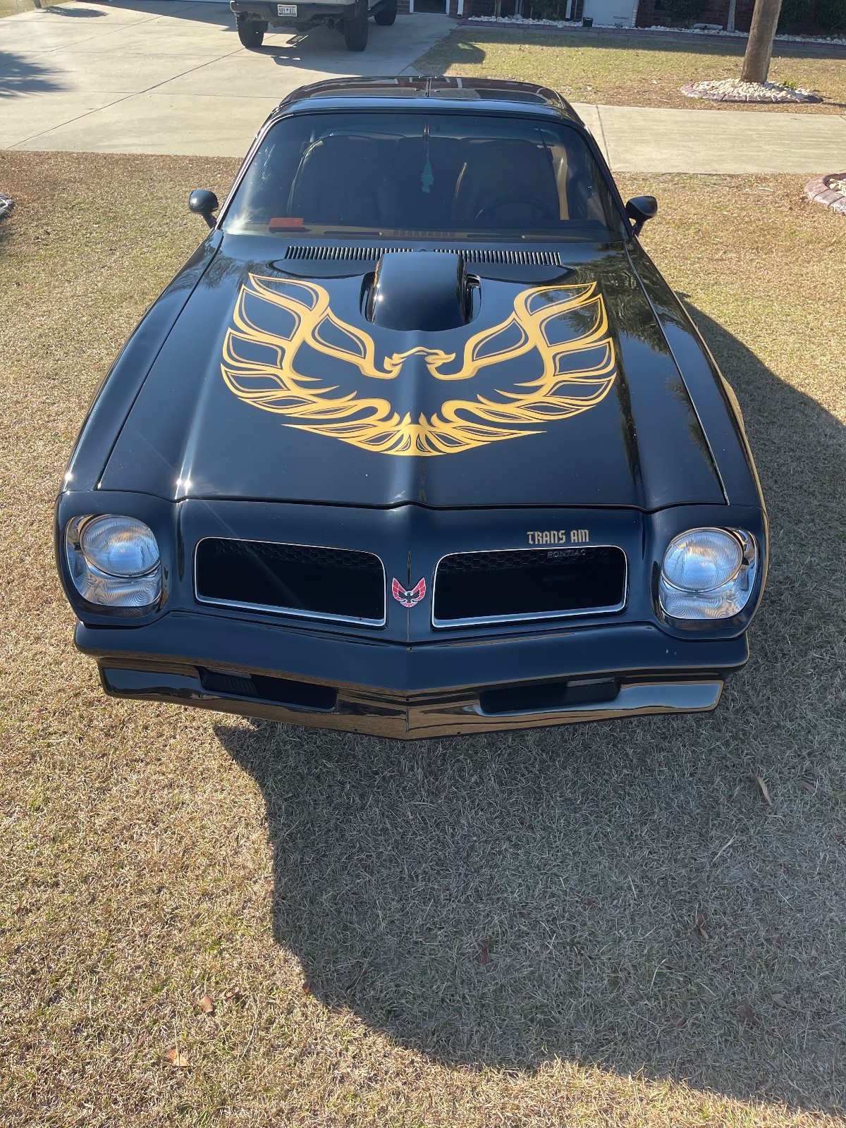 Pontiac-Trans-Am-1976-1