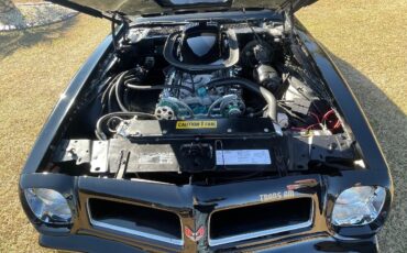 Pontiac-Trans-Am-1976-10