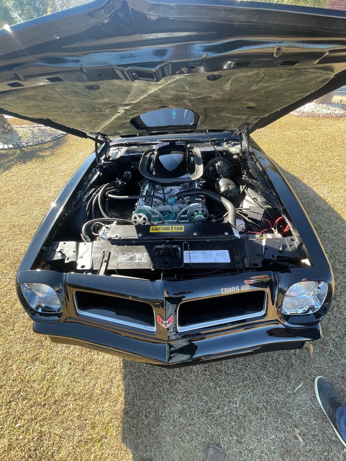 Pontiac-Trans-Am-1976-10