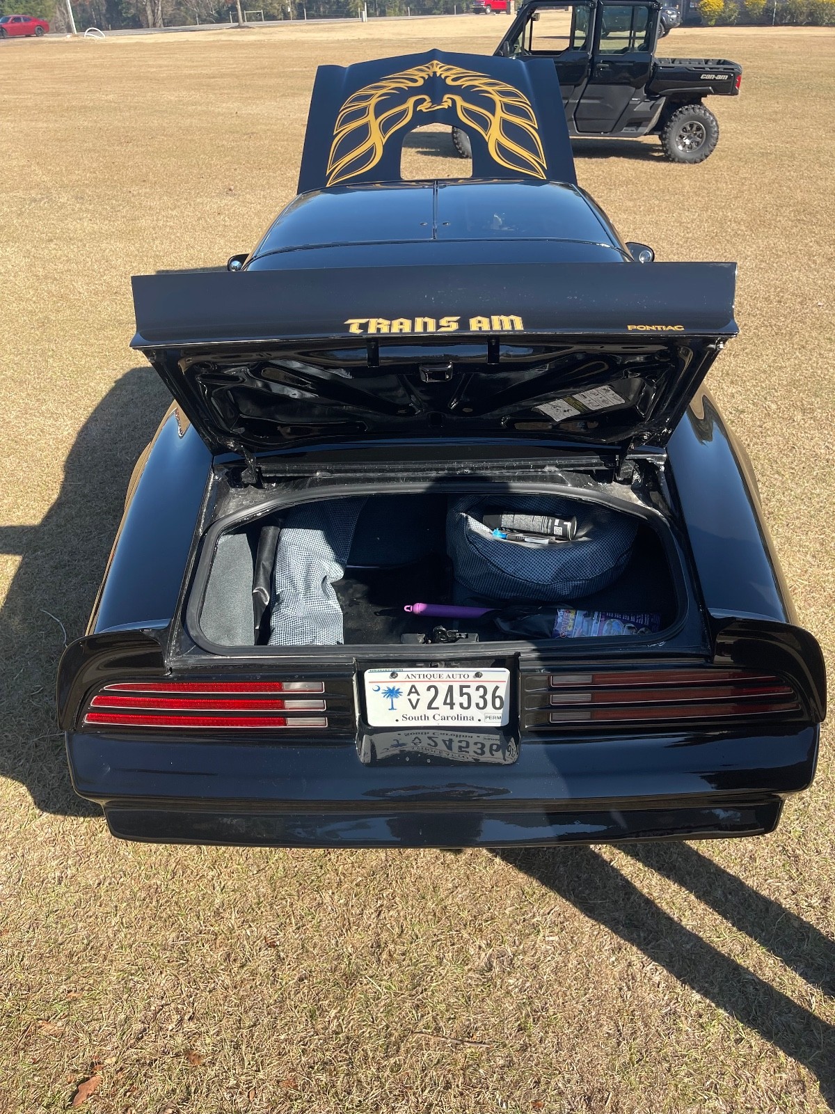 Pontiac-Trans-Am-1976-12