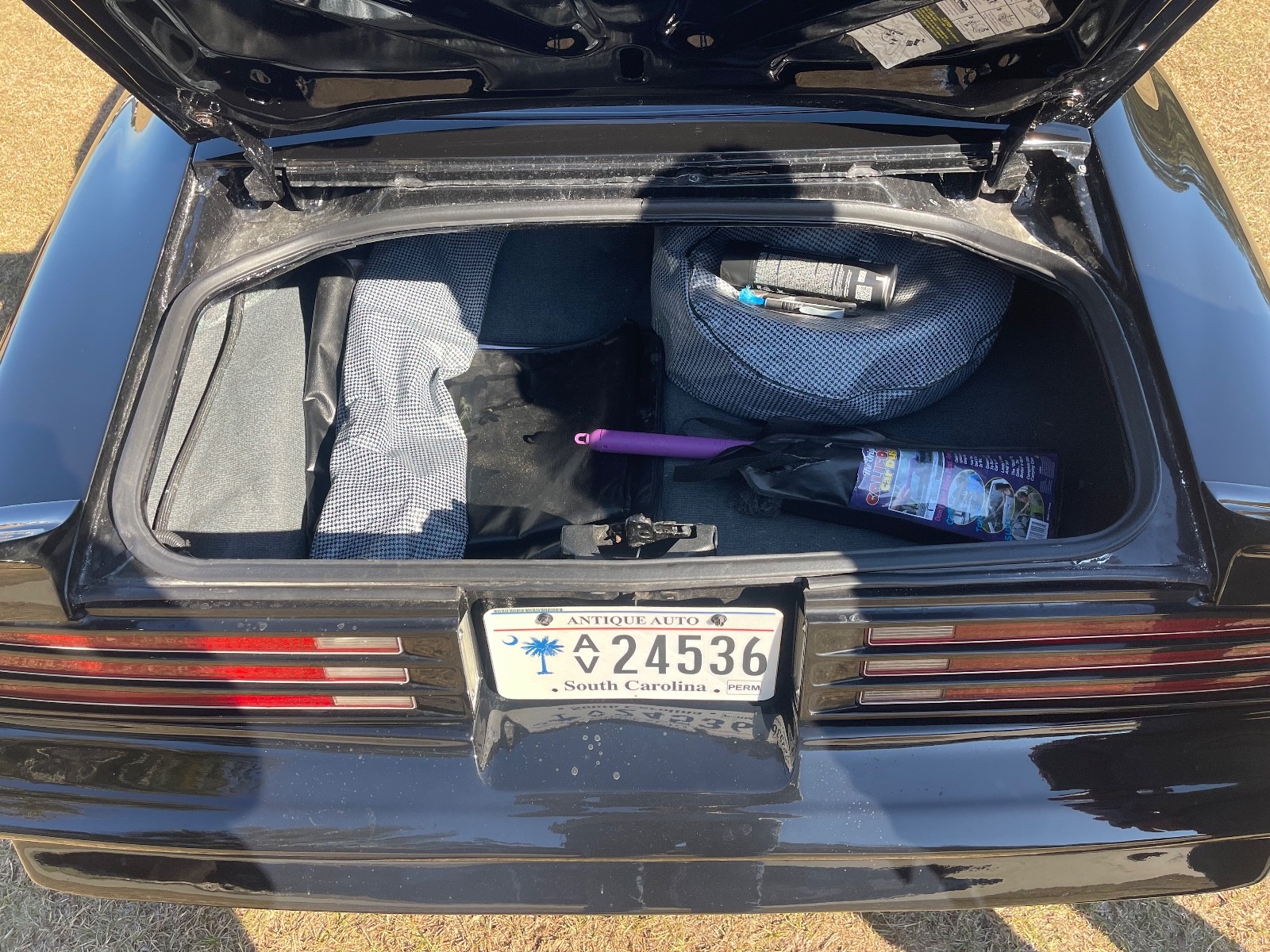 Pontiac-Trans-Am-1976-13