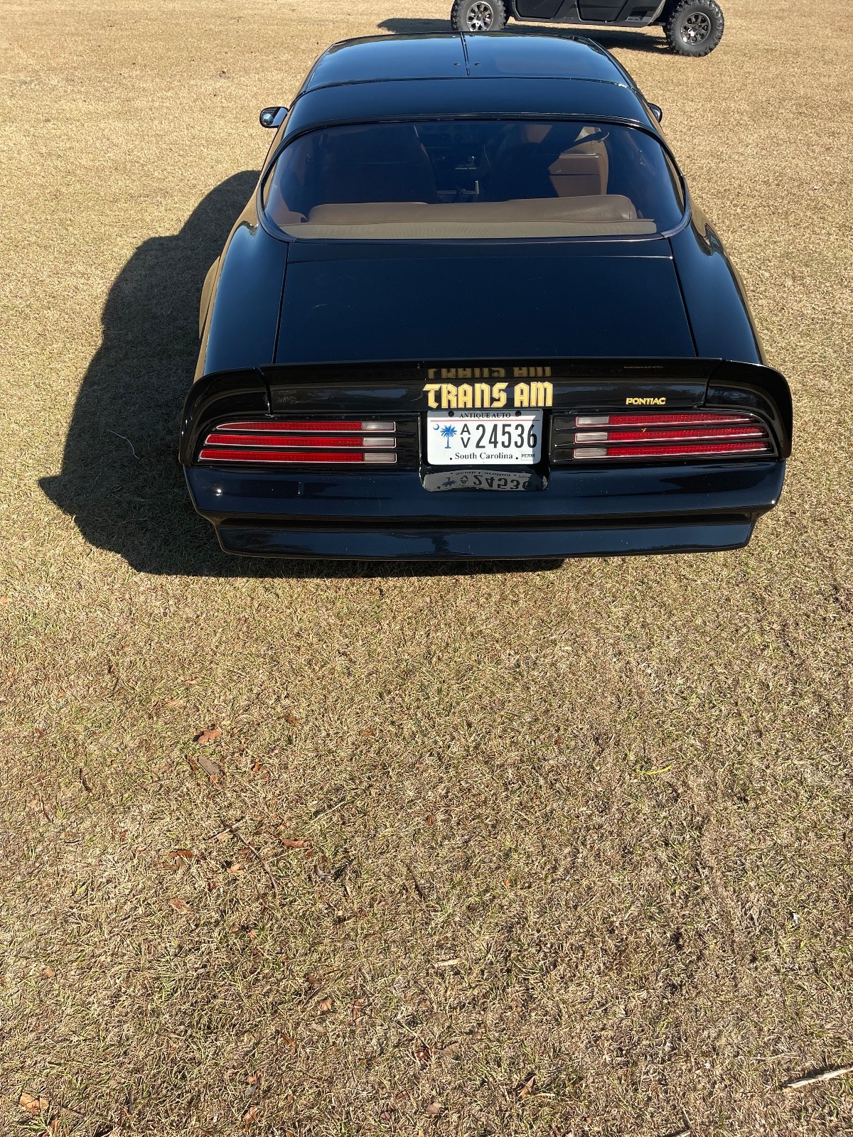 Pontiac-Trans-Am-1976-3