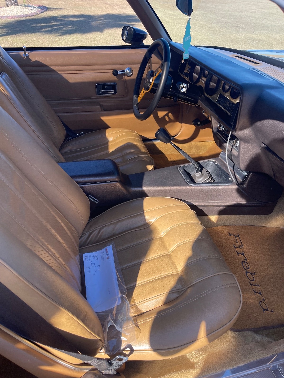 Pontiac-Trans-Am-1976-4