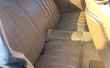 Pontiac-Trans-Am-1976-5