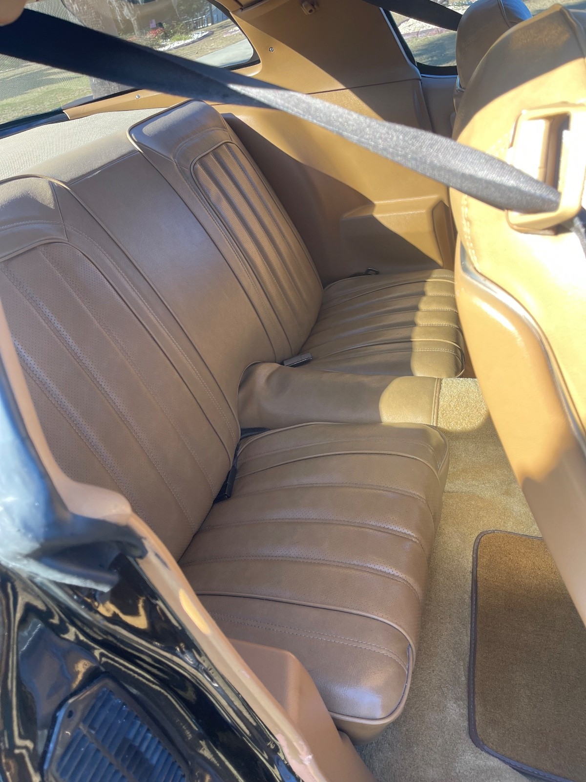 Pontiac-Trans-Am-1976-5