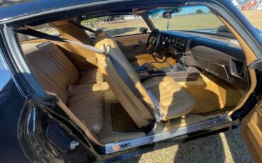 Pontiac-Trans-Am-1976-6
