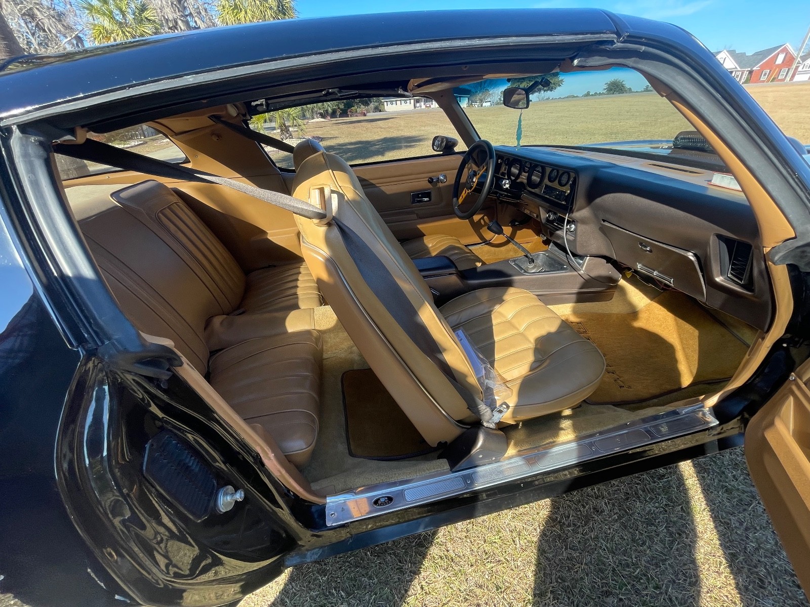 Pontiac-Trans-Am-1976-6