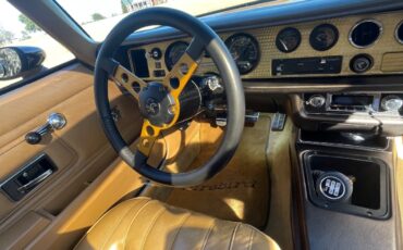 Pontiac-Trans-Am-1976-8
