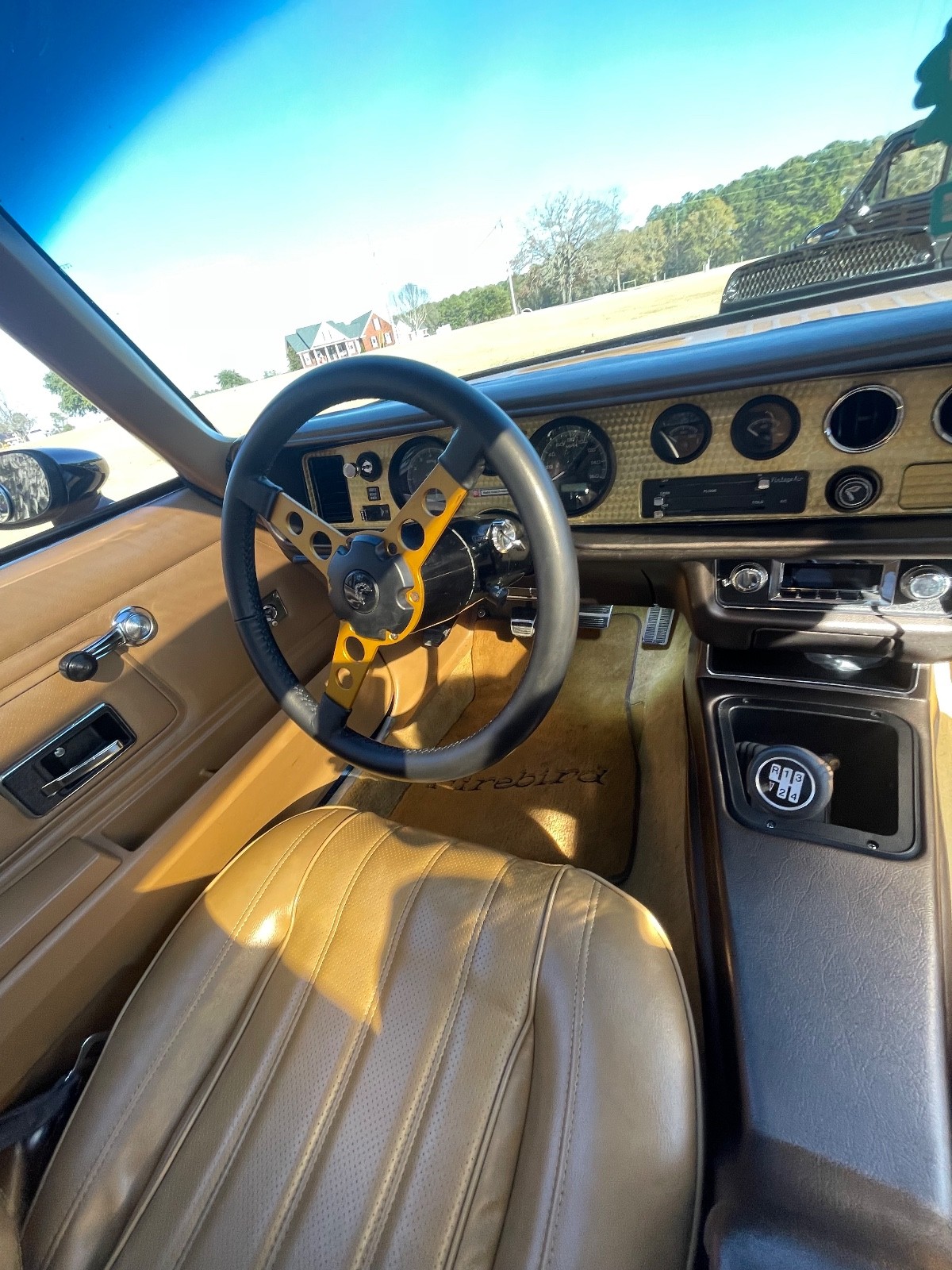 Pontiac-Trans-Am-1976-8