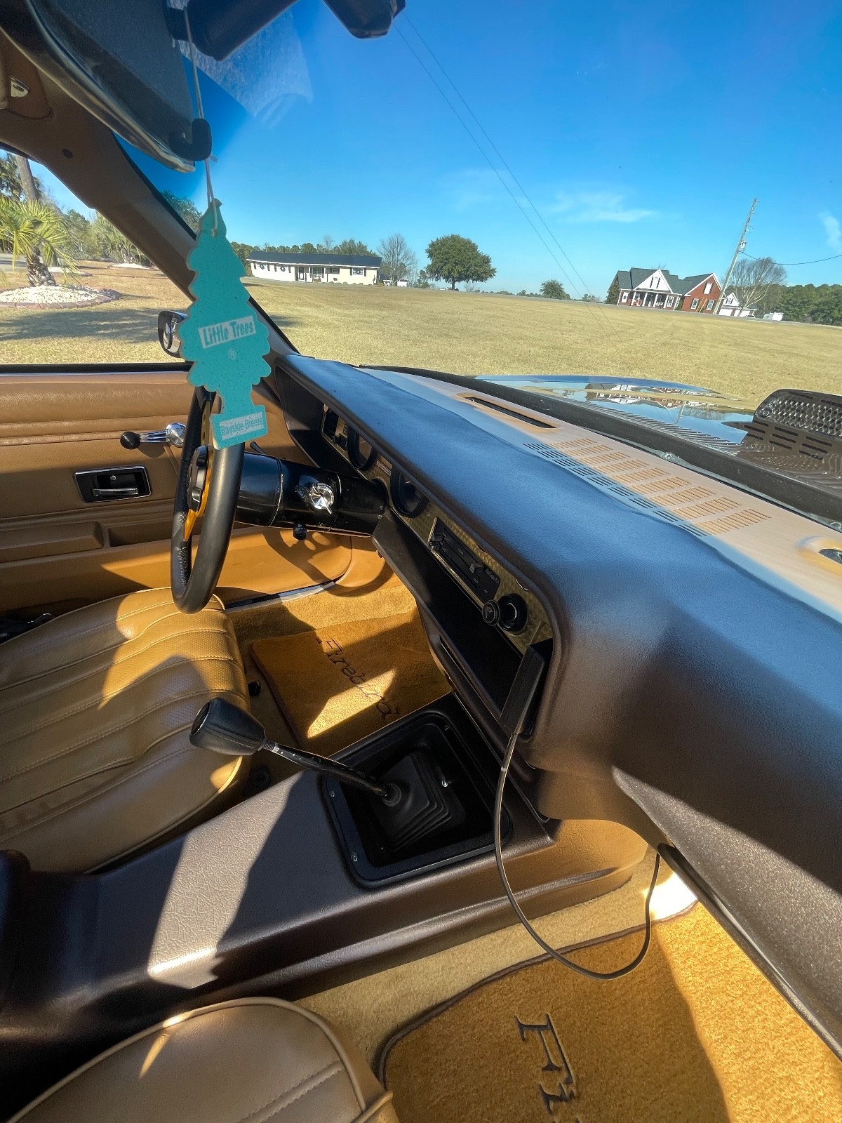 Pontiac-Trans-Am-1976-9