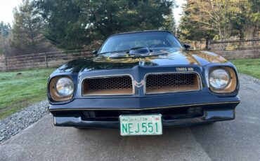 Pontiac-Trans-Am-1976-Coupe-1