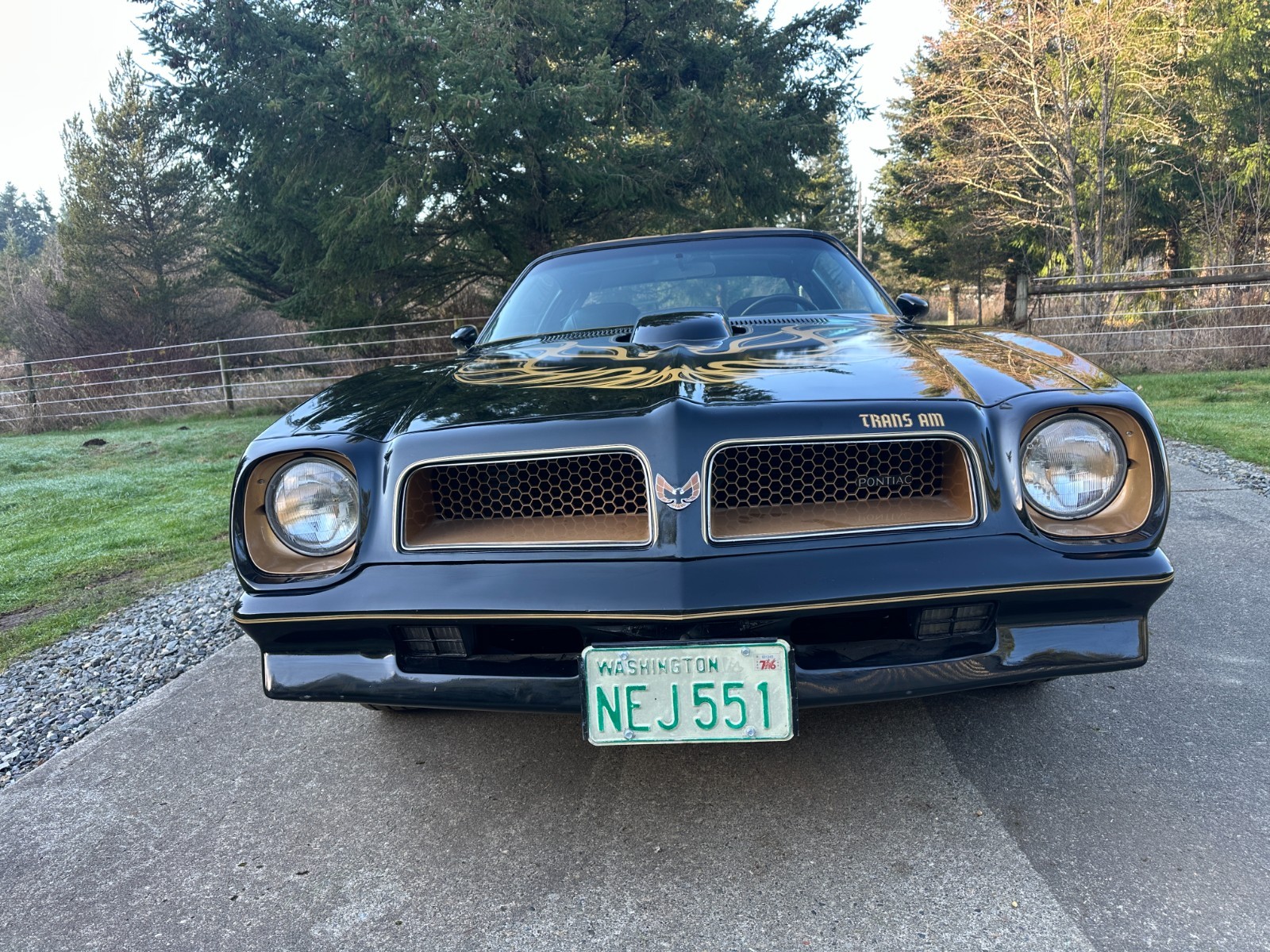 Pontiac-Trans-Am-1976-Coupe-1