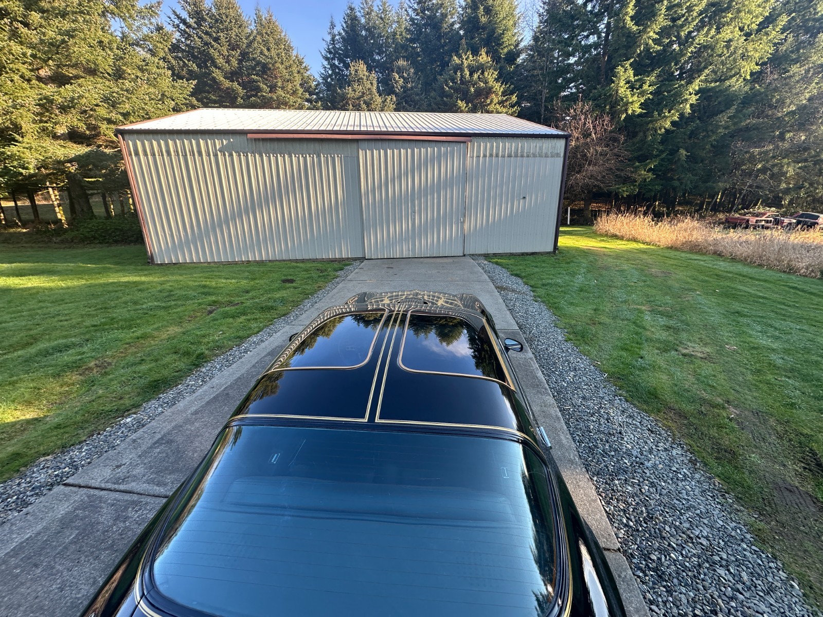 Pontiac-Trans-Am-1976-Coupe-11