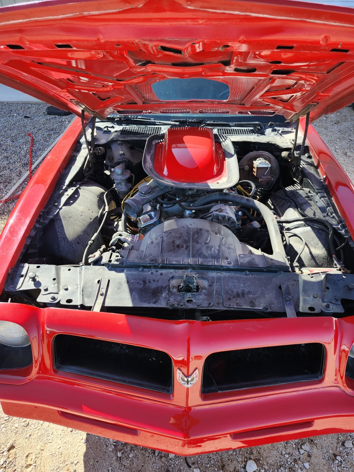 Pontiac-Trans-Am-1976-Coupe-4